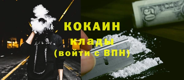 ПСИЛОЦИБИНОВЫЕ ГРИБЫ Няндома