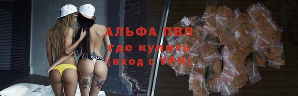 винт Алексин
