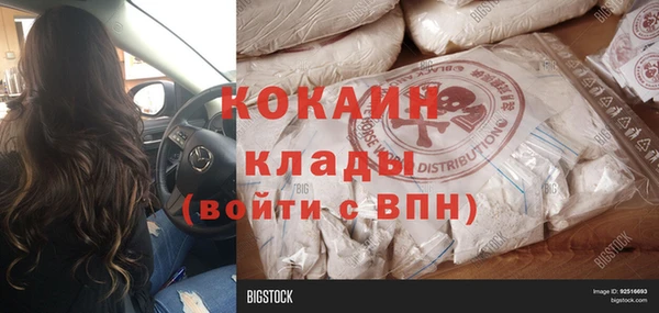 винт Алексин