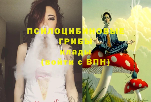 винт Алексин