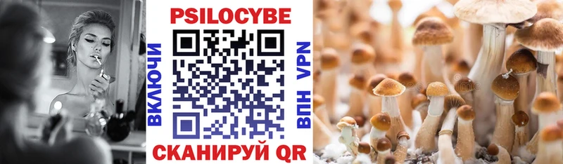 ОМГ ОМГ   Новая Ляля  Псилоцибиновые грибы Cubensis  наркота 